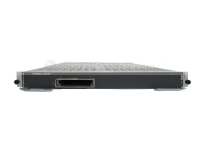 Процессорный блок Huawei E8KE-X-101-1X100GE-CFP